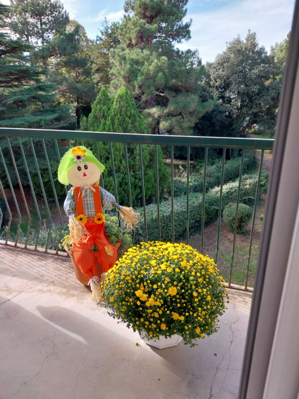 Balcon fleuri !