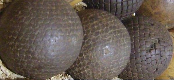 Boule petanque ancienne d'occasion - Collection