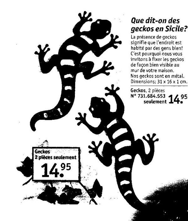 Gecko quand tu nous tiens