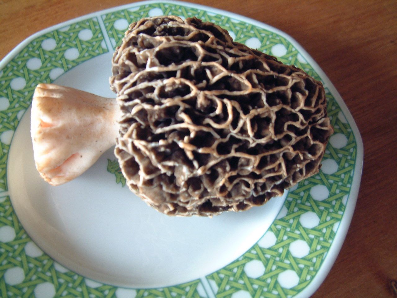 La reine des morilles